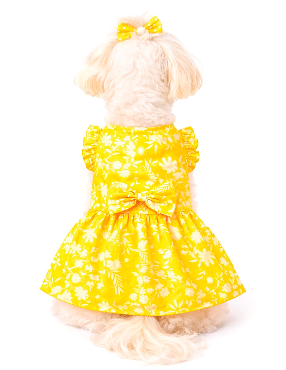 Vestido Clarks para mascota