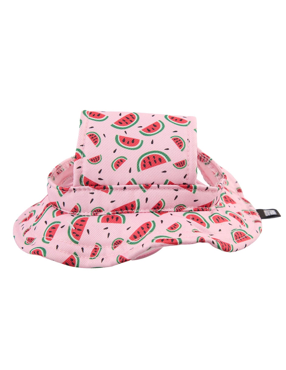 Sombrero tipo pescador para perro south paw 4