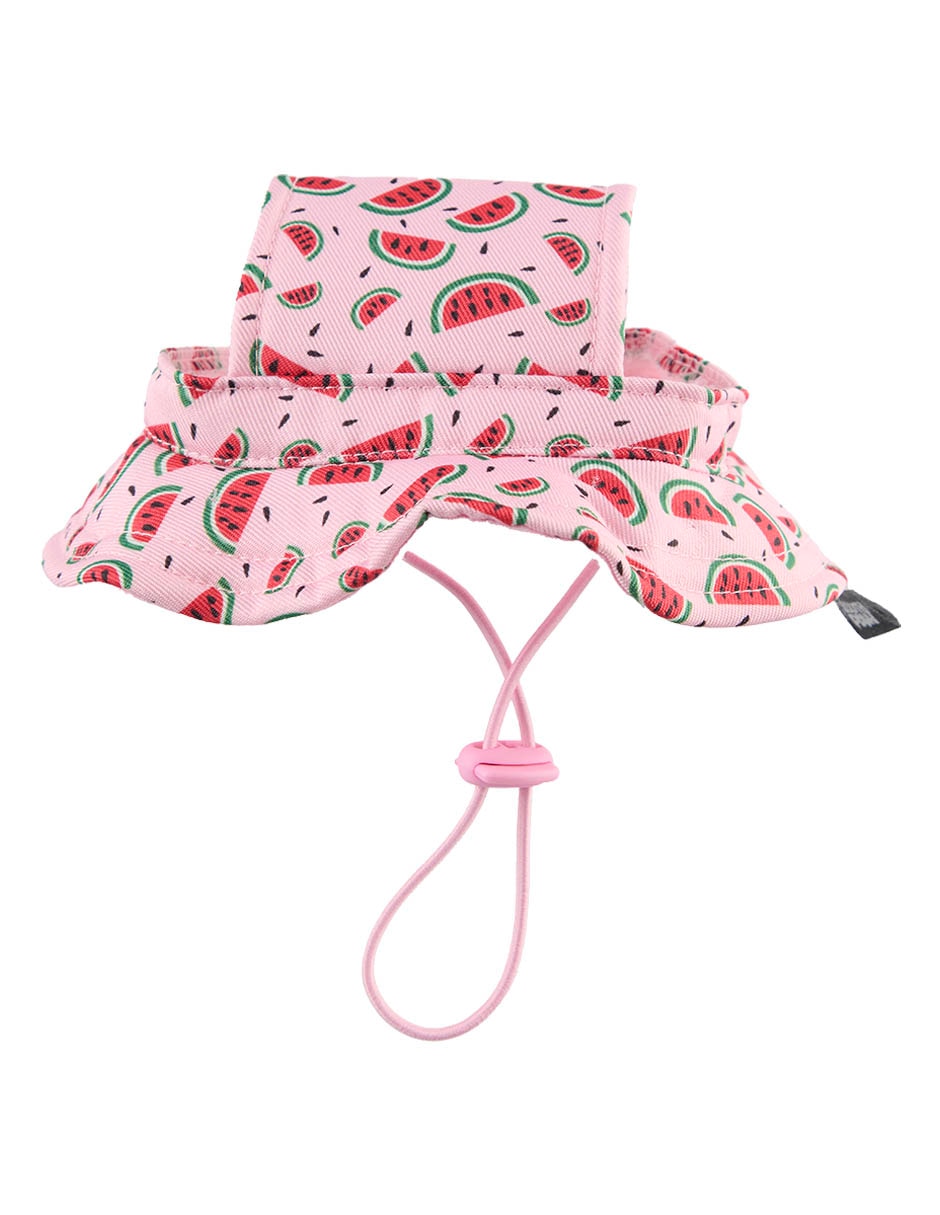 Sombrero tipo pescador para perro south paw 7