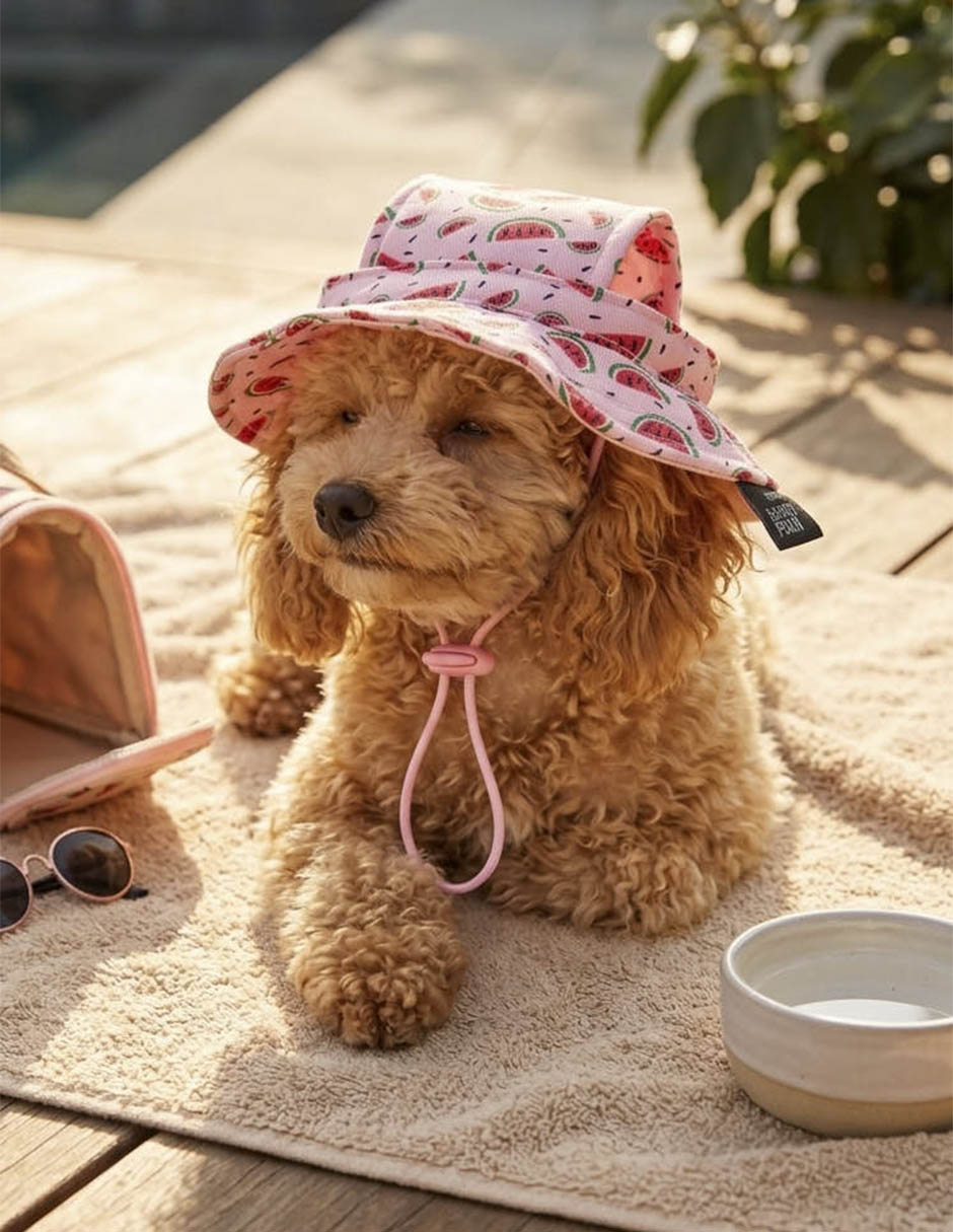 Sombrero tipo pescador para perro south paw 9