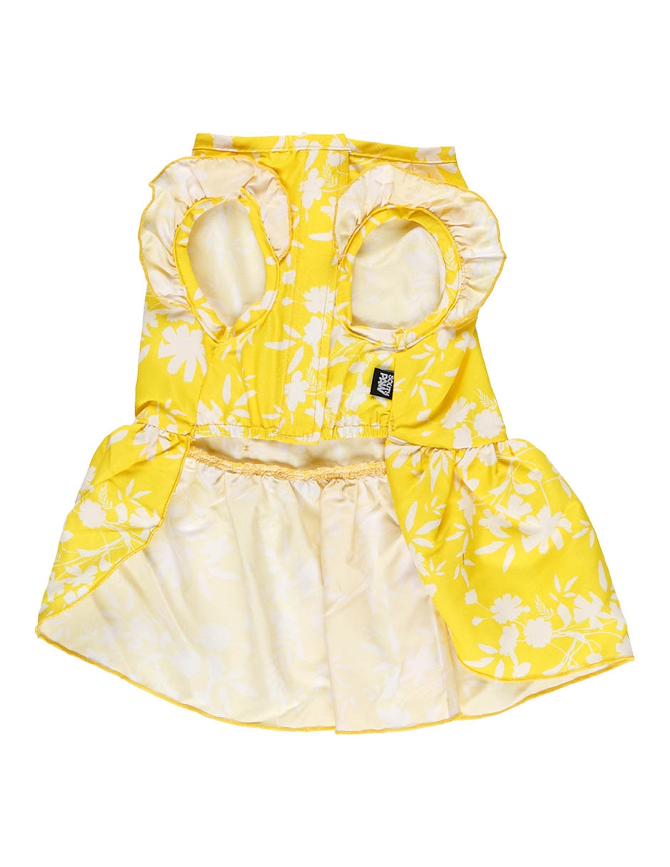 Vestido para perro 2