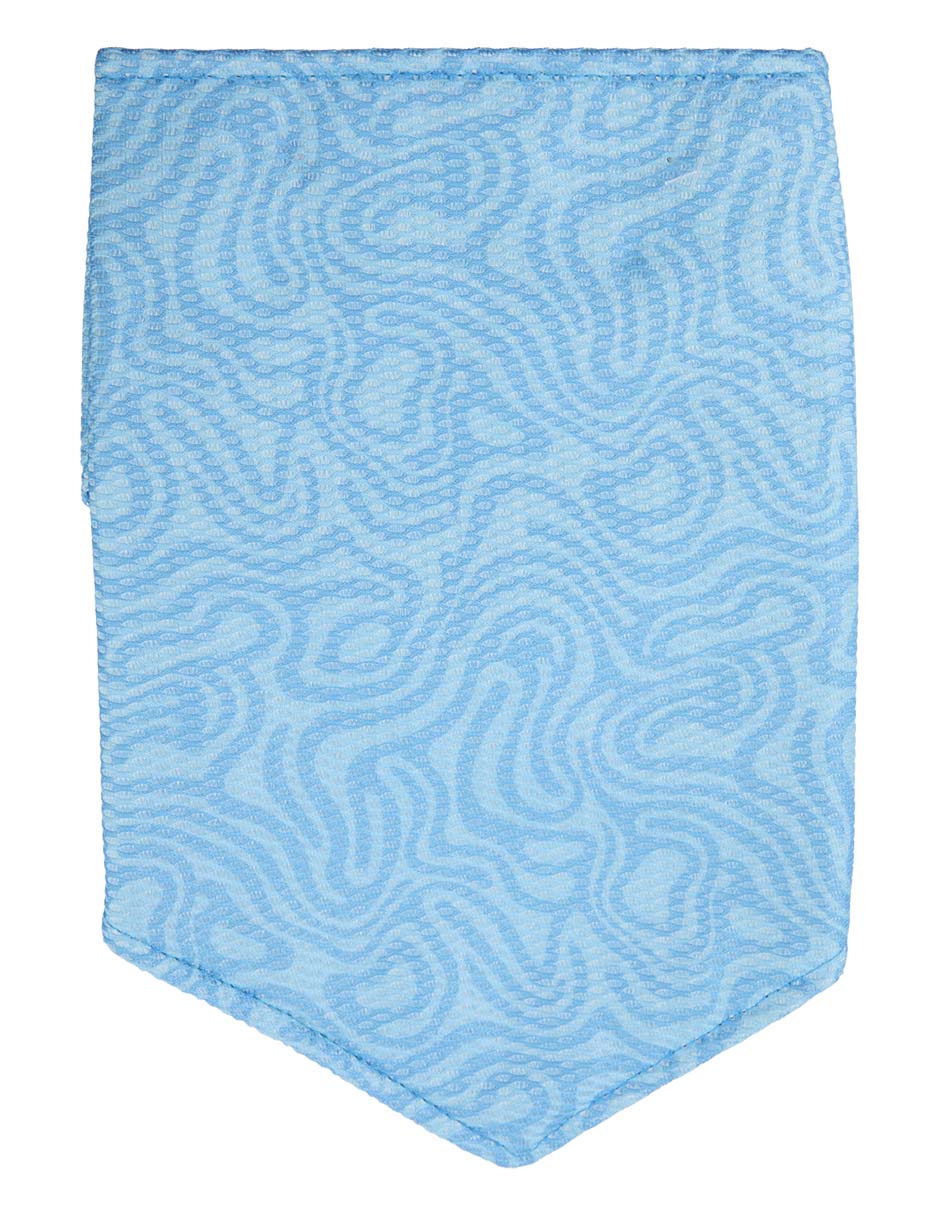 Bandana para perro 2