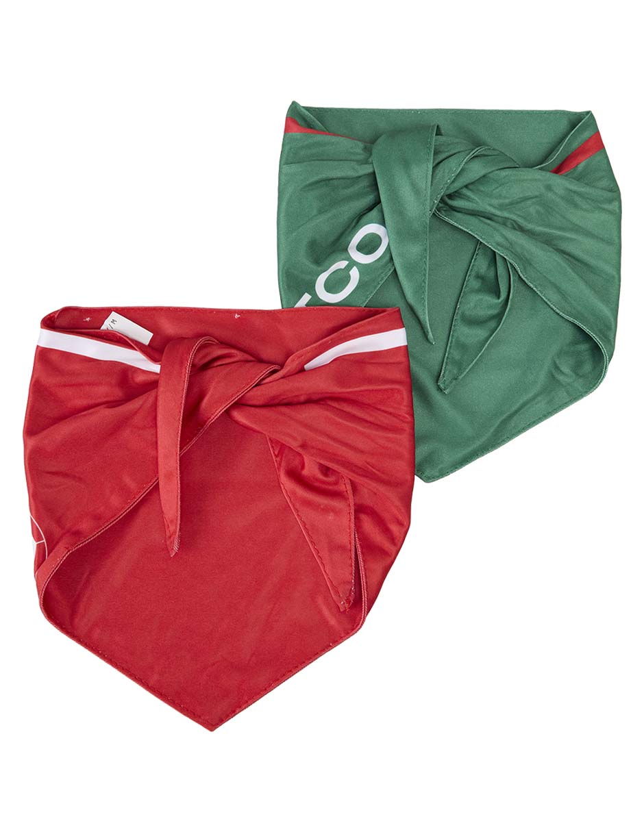 Set bandana para perro 2