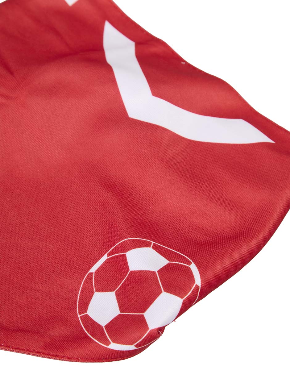 Set bandana para perro 5