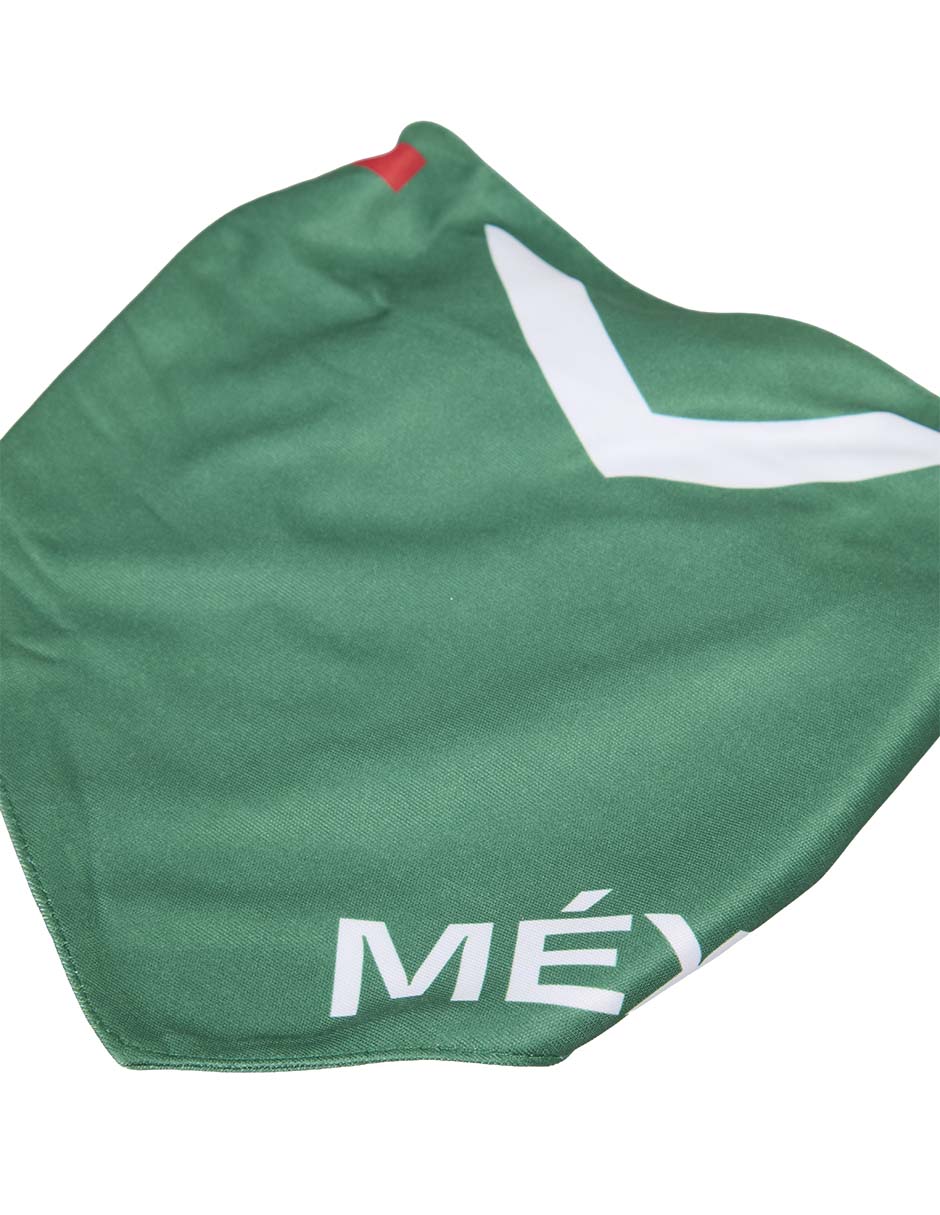 Set bandana para perro 4