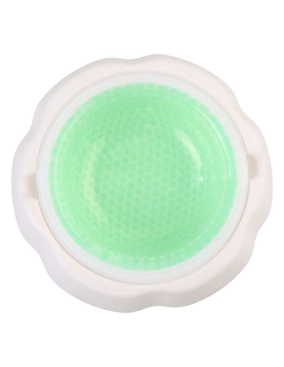 Plato para perro South Paw 473 ml 2