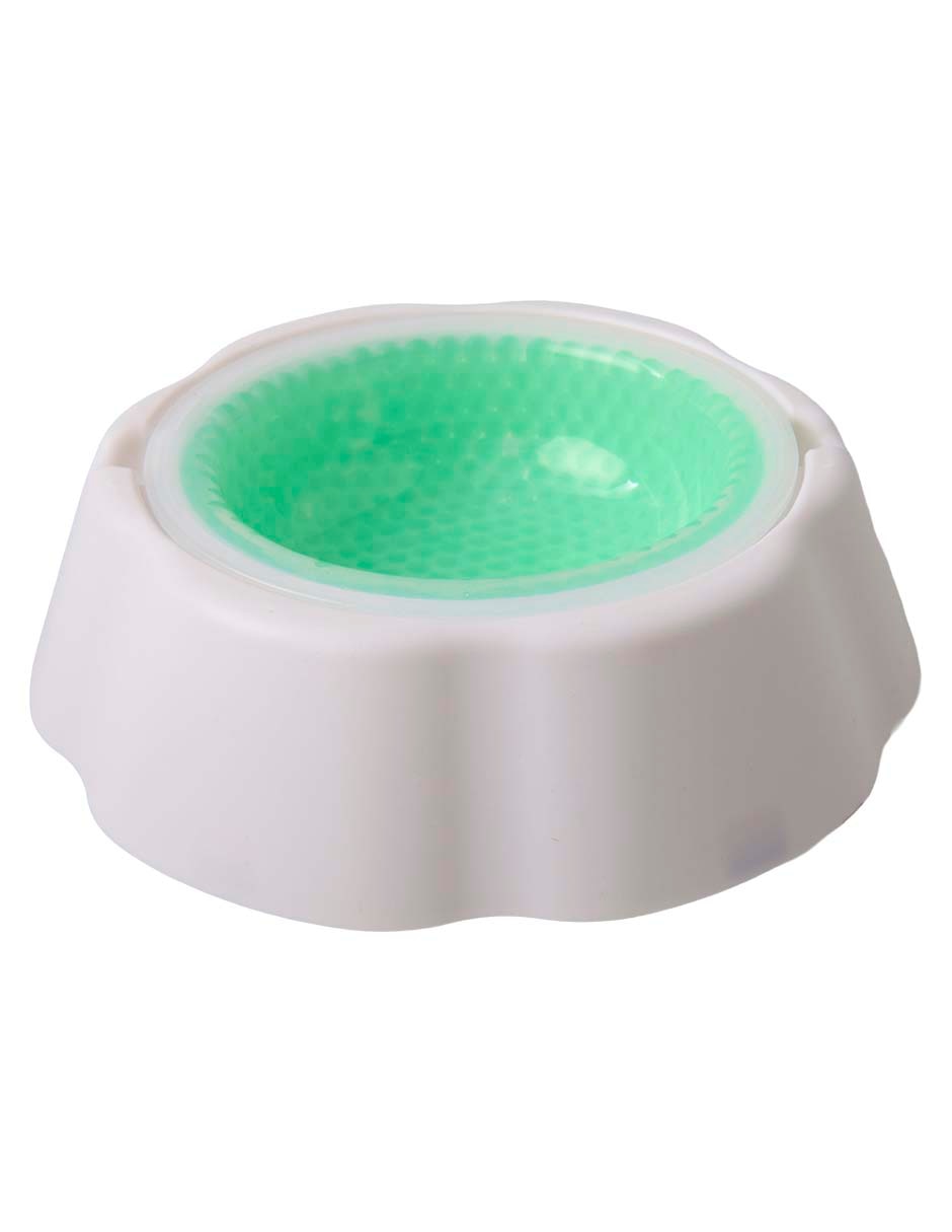 Plato para perro South Paw 473 ml 3