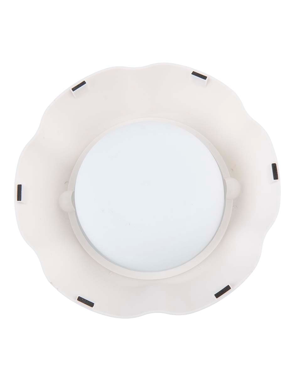 Plato para perro South Paw 473 ml 4