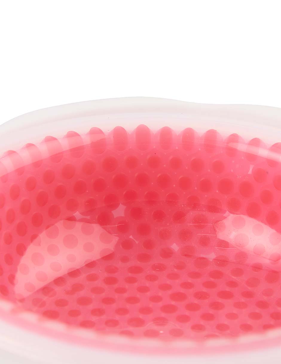 Plato para perro South Paw 473 ml 4