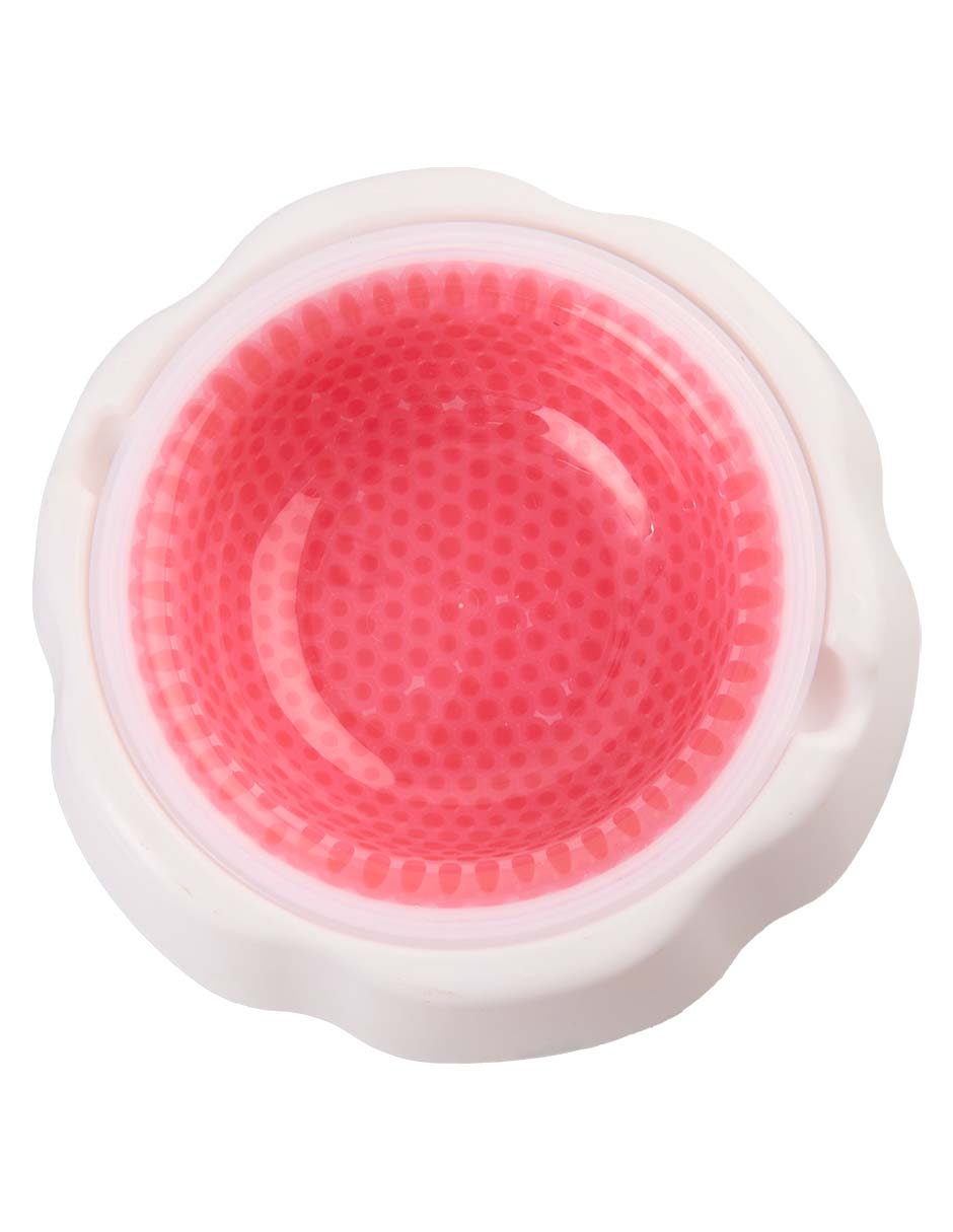 Plato para perro 473 ml 2